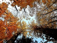 20181014_154535.jpg