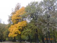 DSC09189.JPG