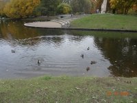 DSC09184.JPG