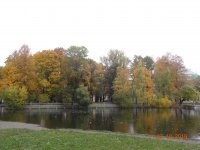 DSC09181.JPG