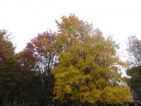 DSC09178.JPG