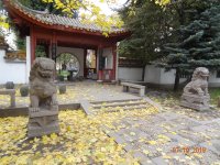 DSC09216.JPG