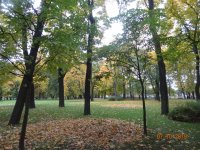DSC09283.JPG