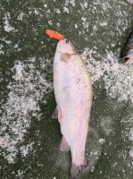 IMG_20191201_110930.jpeg