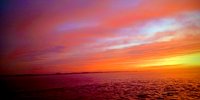 IMG_20191203_080813_6-EFFECTS.jpg