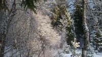20200111_150923.jpg