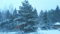 20200223_073817.jpg