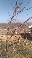 IMG-20200330-WA0016.jpg
