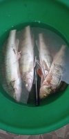 IMG_20200619_103604_0_1200x2400.jpg