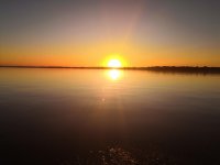 IMG_20200704_051821.jpeg
