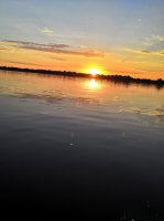 IMG_20200708_051846.jpeg