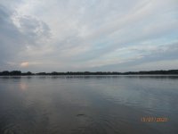 P7150389.jpg