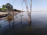 IMG-20200730-WA0001.jpg