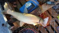 IMG-20200815-WA0007.jpg