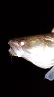 IMG-20200906-WA0003.jpg