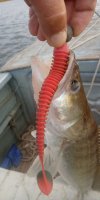 IMG_20201013_080340_892_1200x2400.jpg