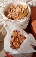IMG_20210918_214719.jpg