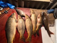 IMG_20211018_184631.jpeg