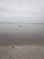 IMG_20220422_100642.jpg