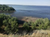 IMG-20220601-WA0002[1].jpg