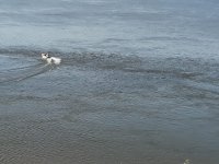 IMG-20220601-WA0014[1].jpg