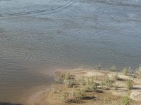 IMG-20220601-WA0000[1].jpg