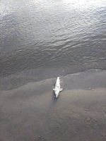 IMG_20220624_053555.jpg