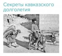 IMG-20240131-WA0016.jpg