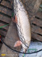 IMG_20250110_125717_1.jpeg