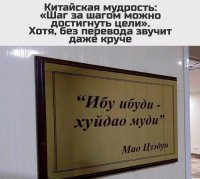 IMG-20250125-WA0005.jpg