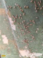 mini_IMG_20250606_194846.jpg