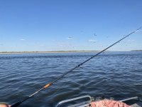 IMG_2484.jpeg