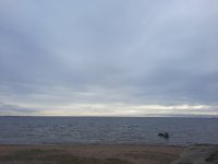 20260430_190757.jpg