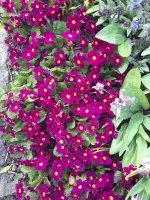 20260505_134351.jpg