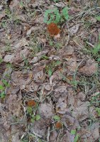 20260505_093011.jpg