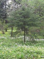 20260505_140755.jpg