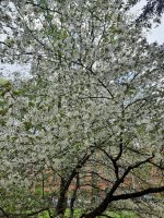 20260505_145159.jpg