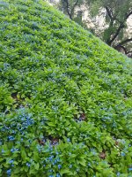 20260505_145905.jpg