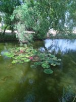 IMG_20260705_134133.jpg