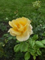 EunAIU70tY_OM_DdU-SdTe9GPiKudMDRVRr_LNltqAbw40v1PBIUapX6rnz9JEto0z4i6A-Cbs42c1e2-xqOsydp.jpg
