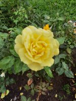HcKT_X5PgYdYycM71RFqmMnBvxFJPuJl7vMuOPpnOUHi7v810lz_T3MK07rjzI1SofXIbzkrVz4ed3QFoI5XBGrZ.jpg