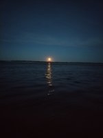 IMG_20260928_191608.jpg