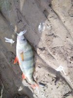 IMG_20260929_101434.jpg