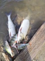 IMG_20260930_104136.jpg