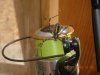DSCN0653.JPG