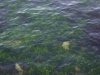 100_0456.JPG