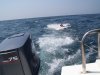 100_0513.JPG