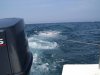 100_0510.JPG