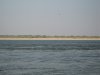 IMG_1599.JPG