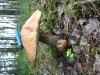 DSC01605.JPG